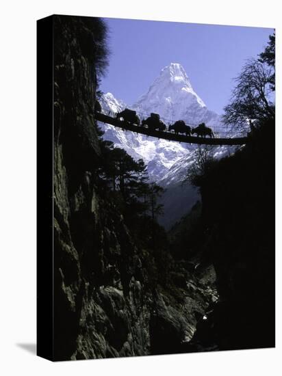 Bridge in Ama Dablam, Nepal-Michael Brown-Stretched Canvas