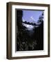 Bridge in Ama Dablam, Nepal-Michael Brown-Framed Premium Photographic Print