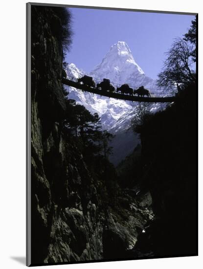 Bridge in Ama Dablam, Nepal-Michael Brown-Mounted Premium Photographic Print