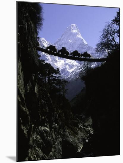 Bridge in Ama Dablam, Nepal-Michael Brown-Mounted Photographic Print