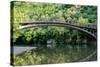 Bridge in Bright Forest of Voidomatis River that Flows through Epirus Region, Greece. Natural Compo-vverve-Stretched Canvas