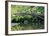 Bridge in Bright Forest of Voidomatis River that Flows through Epirus Region, Greece. Natural Compo-vverve-Framed Photographic Print