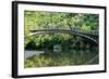 Bridge in Bright Forest of Voidomatis River that Flows through Epirus Region, Greece. Natural Compo-vverve-Framed Photographic Print