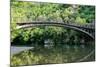 Bridge in Bright Forest of Voidomatis River that Flows through Epirus Region, Greece. Natural Compo-vverve-Mounted Photographic Print