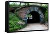 Bridge in Central Park-Erin Berzel-Framed Stretched Canvas