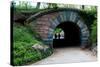 Bridge in Central Park-Erin Berzel-Stretched Canvas