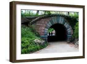 Bridge in Central Park-Erin Berzel-Framed Photographic Print