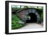 Bridge in Central Park-Erin Berzel-Framed Photographic Print