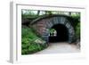 Bridge in Central Park-Erin Berzel-Framed Photographic Print