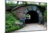 Bridge in Central Park-Erin Berzel-Mounted Photographic Print