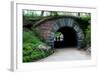 Bridge in Central Park-Erin Berzel-Framed Photographic Print