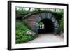 Bridge in Central Park-Erin Berzel-Framed Photographic Print