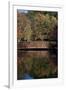 Bridge in Fall I-Tammy Putman-Framed Photographic Print