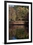 Bridge in Fall I-Tammy Putman-Framed Photographic Print