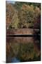 Bridge in Fall I-Tammy Putman-Mounted Photographic Print