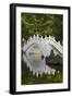 Bridge in Liberty Square garden, Taipei, Taiwan-Keren Su-Framed Photographic Print