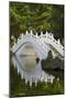 Bridge in Liberty Square garden, Taipei, Taiwan-Keren Su-Mounted Photographic Print