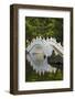 Bridge in Liberty Square garden, Taipei, Taiwan-Keren Su-Framed Photographic Print