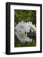 Bridge in Liberty Square garden, Taipei, Taiwan-Keren Su-Framed Photographic Print