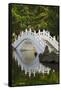 Bridge in Liberty Square garden, Taipei, Taiwan-Keren Su-Framed Stretched Canvas