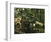 Bridge in Maincy, c.1879-Paul Cézanne-Framed Giclee Print