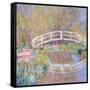 Bridge in Monet's Garden, 1895-96-Claude Monet-Framed Stretched Canvas