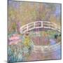 Bridge in Monet's Garden (Pont dans le Jardin de Monet). 1895-96-Claude Monet-Mounted Giclee Print