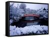 Bridge in Sinsen-En Garden in Snow, Kyoto, Japan-null-Framed Stretched Canvas