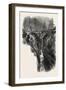 Bridge in Zermatt Valley, Switzerland, 19th Century-null-Framed Giclee Print