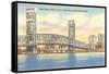 Bridge, Jacksonville, Florida-null-Framed Stretched Canvas