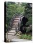 Bridge, Japanese Garden, Golden Gate Park, CA-Barry Winiker-Stretched Canvas