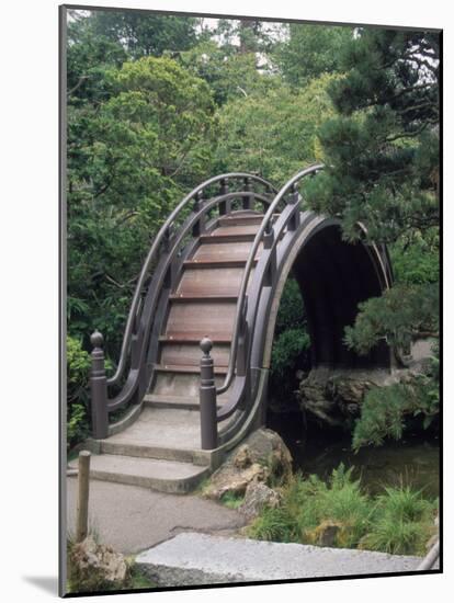 Bridge, Japanese Garden, Golden Gate Park, CA-Barry Winiker-Mounted Photographic Print