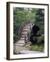 Bridge, Japanese Garden, Golden Gate Park, CA-Barry Winiker-Framed Photographic Print