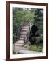 Bridge, Japanese Garden, Golden Gate Park, CA-Barry Winiker-Framed Photographic Print