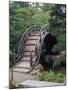 Bridge, Japanese Garden, Golden Gate Park, CA-Barry Winiker-Mounted Photographic Print