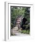 Bridge, Japanese Garden, Golden Gate Park, CA-Barry Winiker-Framed Photographic Print