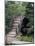 Bridge, Japanese Garden, Golden Gate Park, CA-Barry Winiker-Mounted Photographic Print