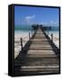 Bridge Leading to a Bar on the Water, Kiwengwa Beach, Zanzibar, Tanzania, East Africa, Africa-Yadid Levy-Framed Stretched Canvas