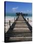 Bridge Leading to a Bar on the Water, Kiwengwa Beach, Zanzibar, Tanzania, East Africa, Africa-Yadid Levy-Stretched Canvas