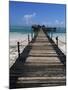 Bridge Leading to a Bar on the Water, Kiwengwa Beach, Zanzibar, Tanzania, East Africa, Africa-Yadid Levy-Mounted Photographic Print