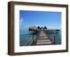 Bridge Leading to a Bar on the Water, Kiwengwa Beach, Zanzibar, Tanzania, East Africa, Africa-Yadid Levy-Framed Photographic Print