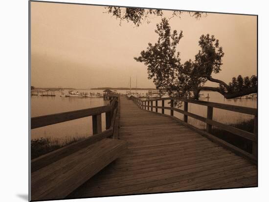 Bridge Leading to Pier-Guy Cali-Mounted Photographic Print