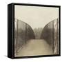 Bridge, London-Casey Mckee-Framed Stretched Canvas