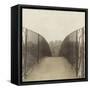 Bridge, London-Casey Mckee-Framed Stretched Canvas