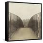 Bridge, London-Casey Mckee-Framed Stretched Canvas