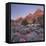 Bridge Mountain, Zion National Park, Utah, Usa-Rainer Mirau-Framed Stretched Canvas