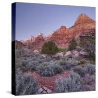 Bridge Mountain, Zion National Park, Utah, Usa-Rainer Mirau-Stretched Canvas