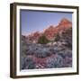 Bridge Mountain, Zion National Park, Utah, Usa-Rainer Mirau-Framed Photographic Print