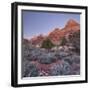 Bridge Mountain, Zion National Park, Utah, Usa-Rainer Mirau-Framed Photographic Print