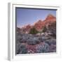 Bridge Mountain, Zion National Park, Utah, Usa-Rainer Mirau-Framed Photographic Print